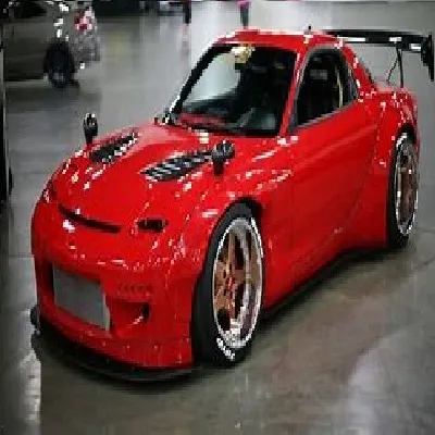 TheOnlyLastWolf's Custom Paintings