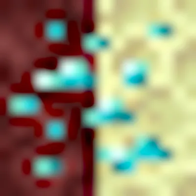 Nether, Ender and more