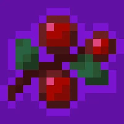 Useful Berries