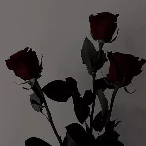 If You Forget Me, Pablo Narudo