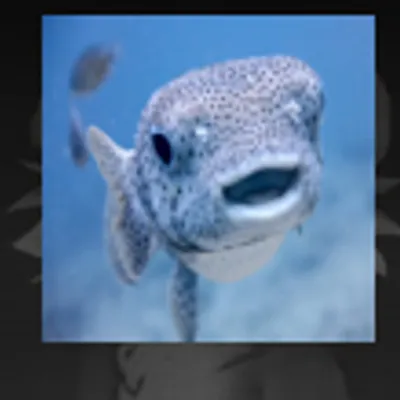 aquaacrobaticslegacy