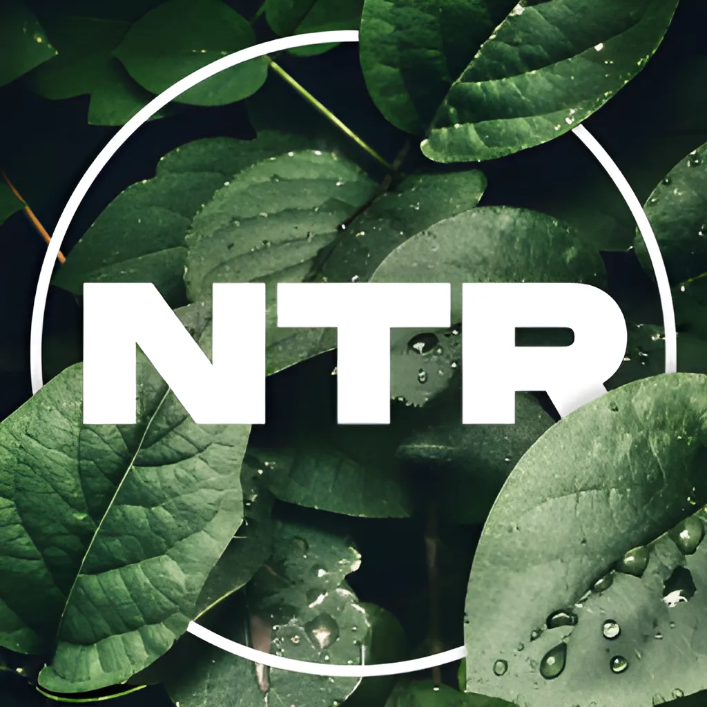 NeoTech Reborn
