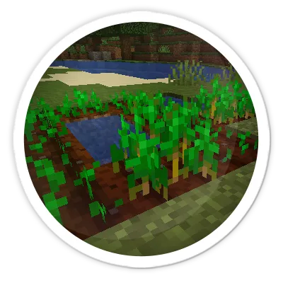 Raw's Crop Growth Balance