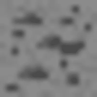 project-920192