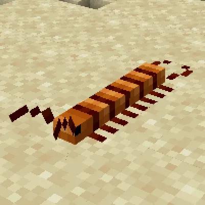 centipede