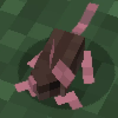 Mice