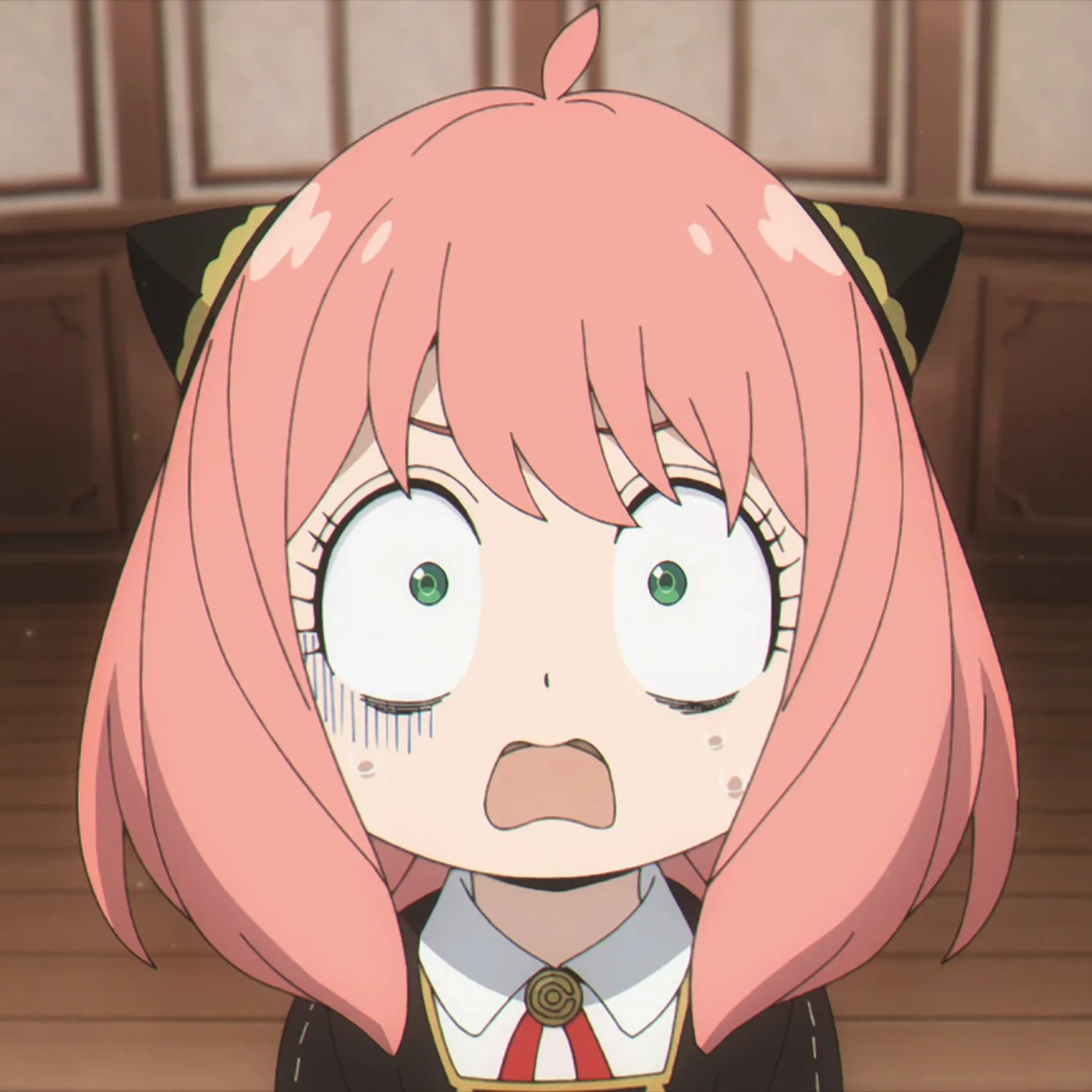 Animuwu