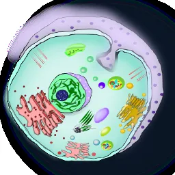 "BioTek - (DNA,Cells,Organs & More)"