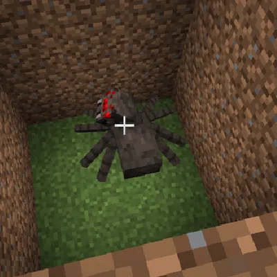 Anti Spider Climbing