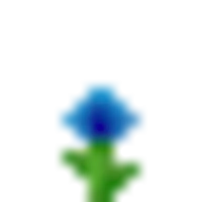 Blue dandelion