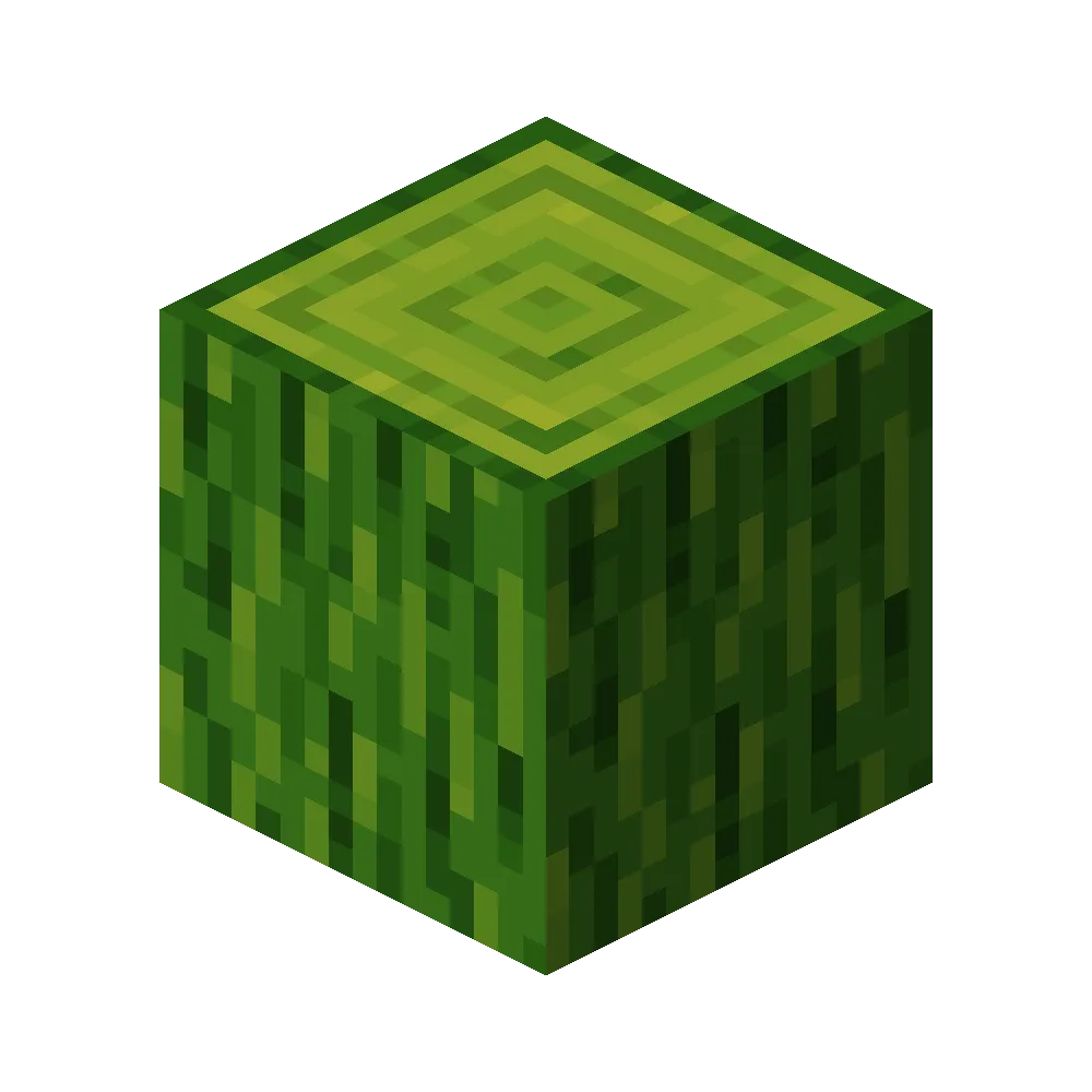 Mystical Wood