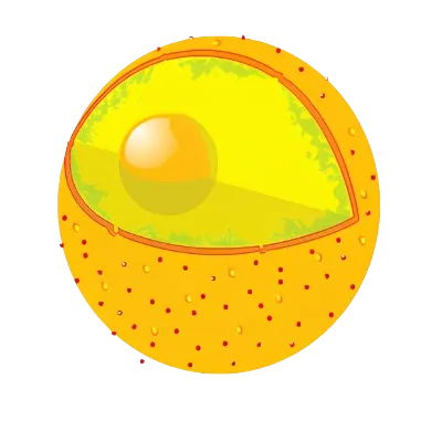 Additional Craftings for (CTM)