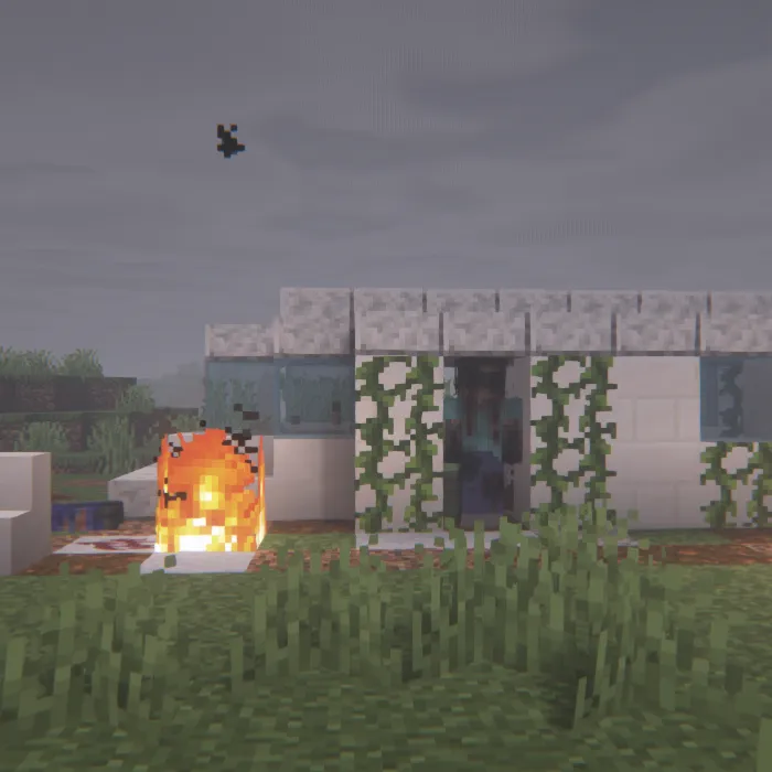 The Dweller Of The Plane