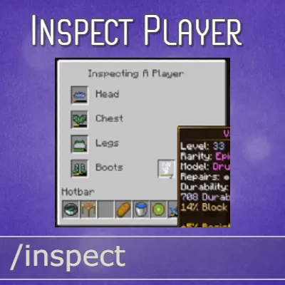 Inspect Player