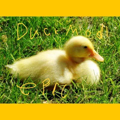 Duck Insanity!