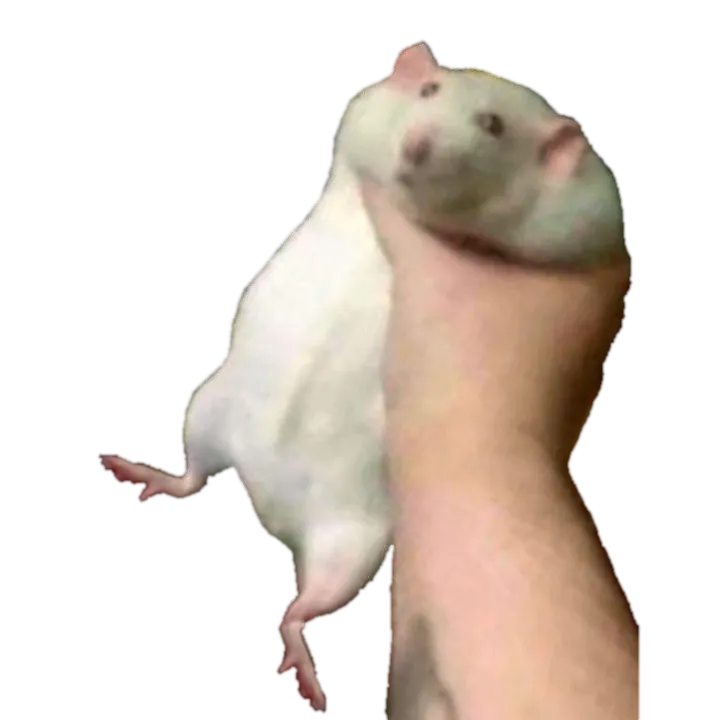 Fat Rat Totem of Undying