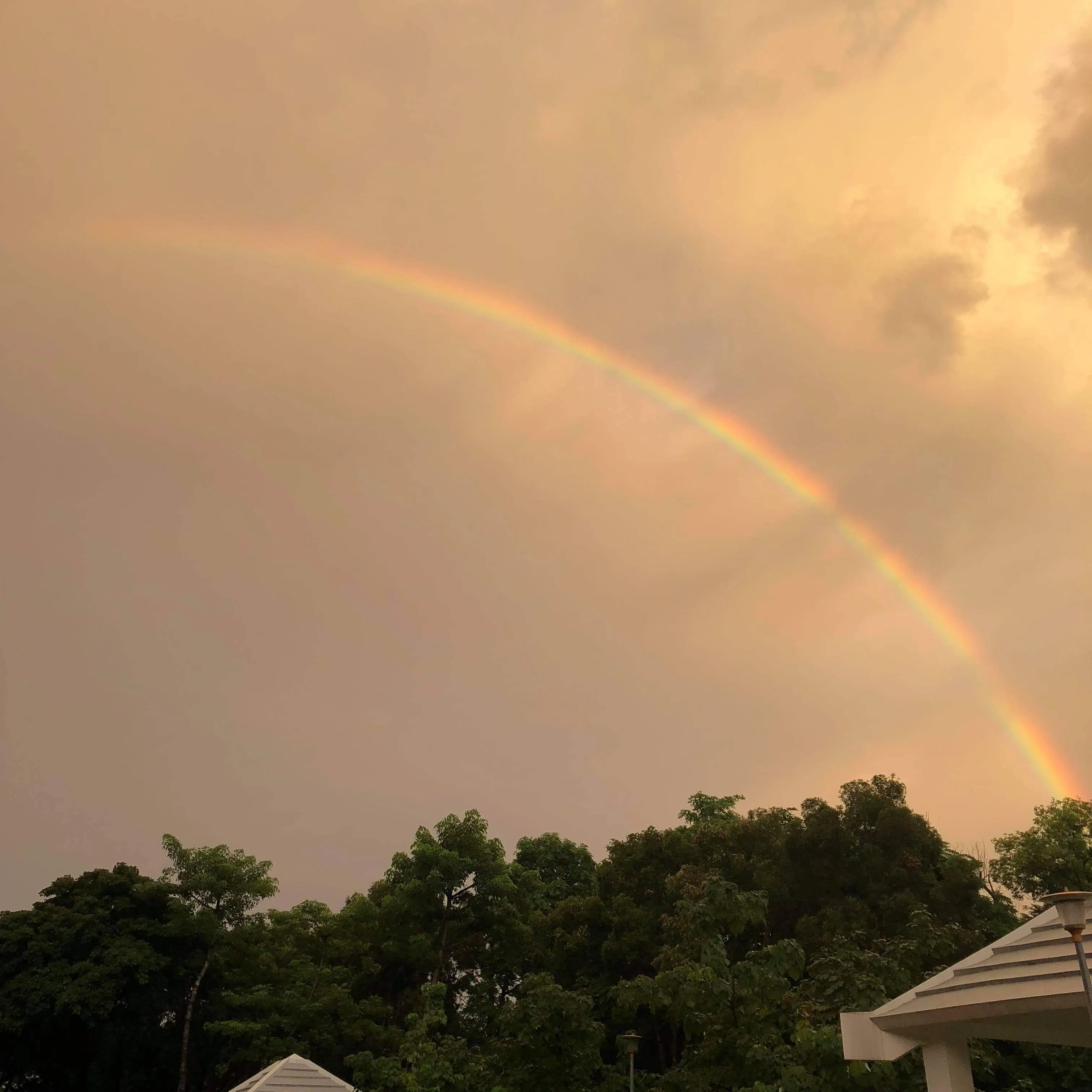 Savaru Survival - Magic and Sword RPG