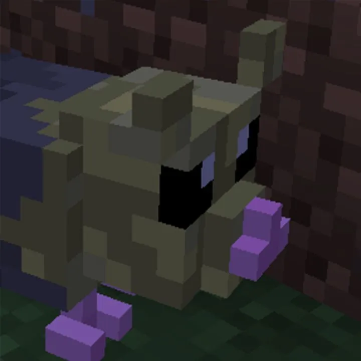 Not Ratty Enough