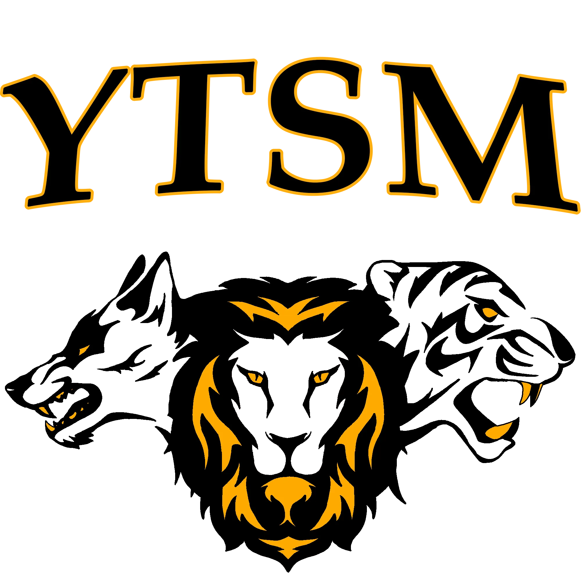 YTSM