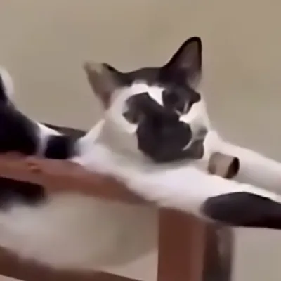 Flatworld Dimension