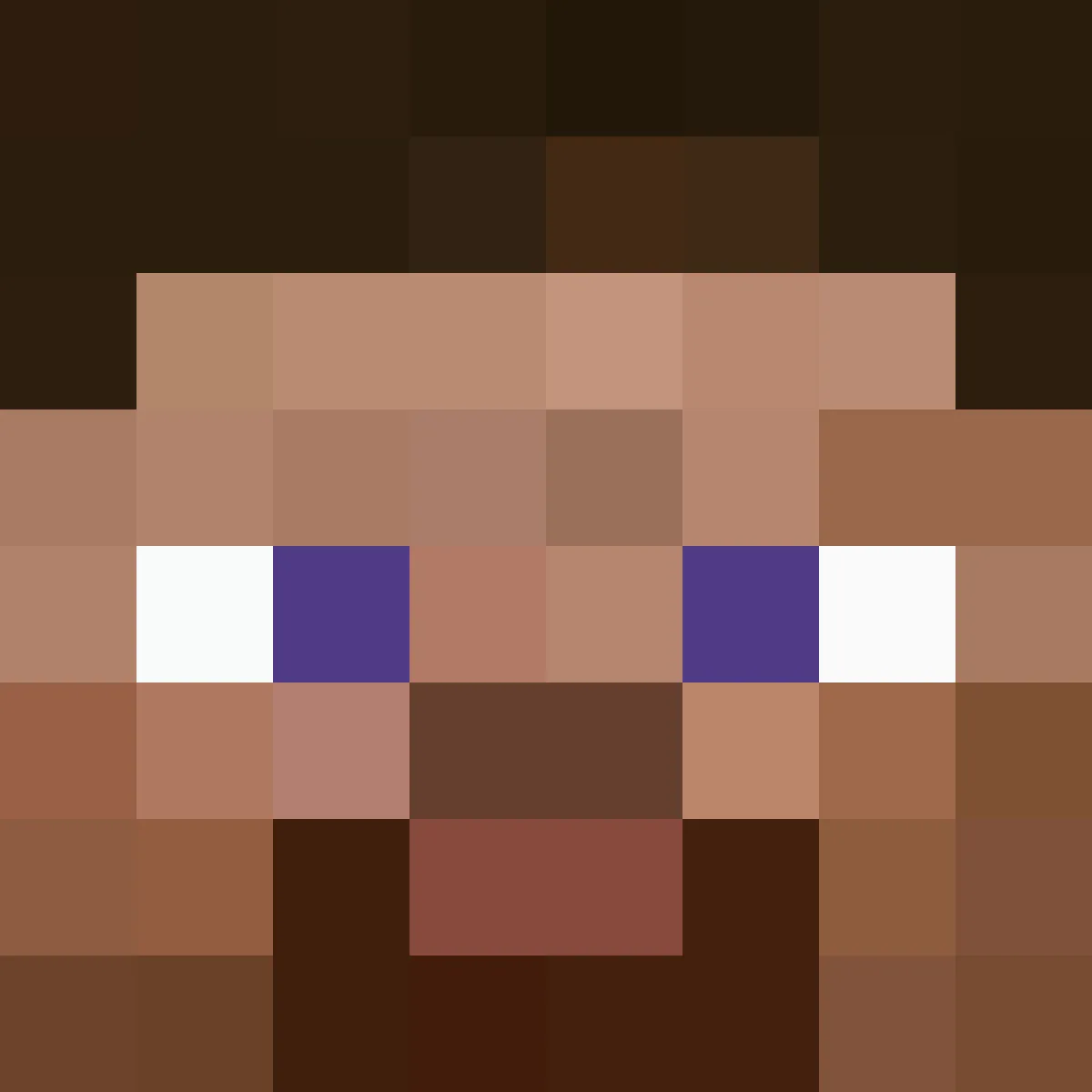 I am The STEVE