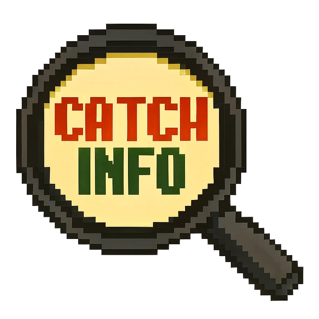 CatchInfo