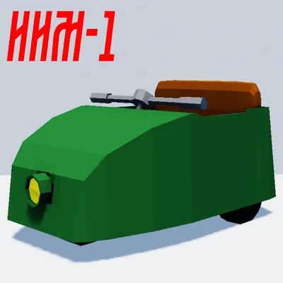 IIM-1