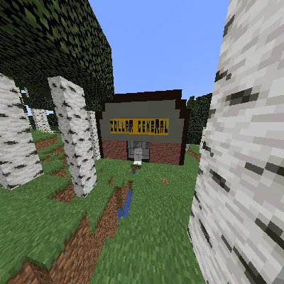 Dollar General