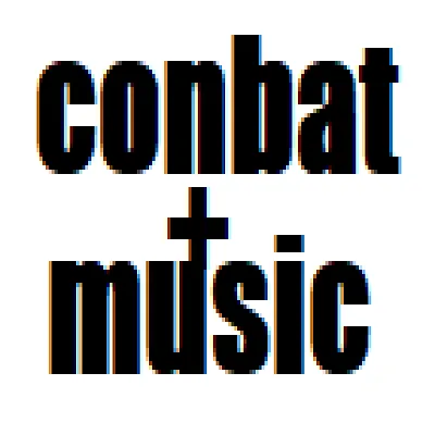 Wilkins_Gamer's Conbat And More