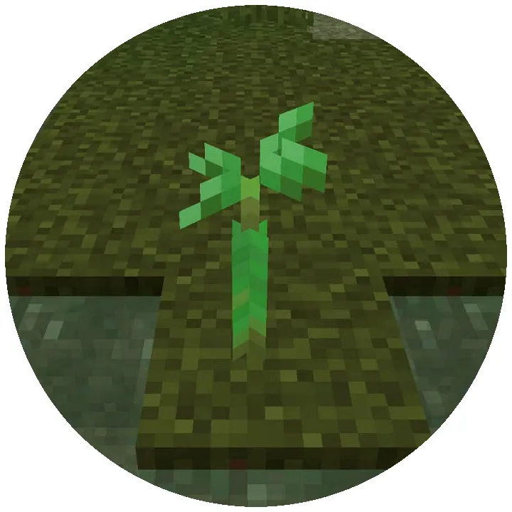 Self Planting Saplings