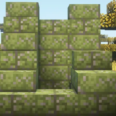 Mossier Mossy Stone Bricks