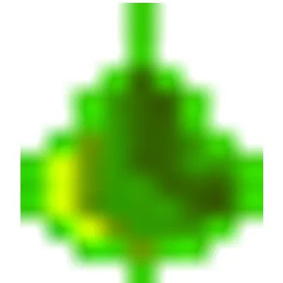 BioFuel