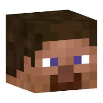 player_head_drop