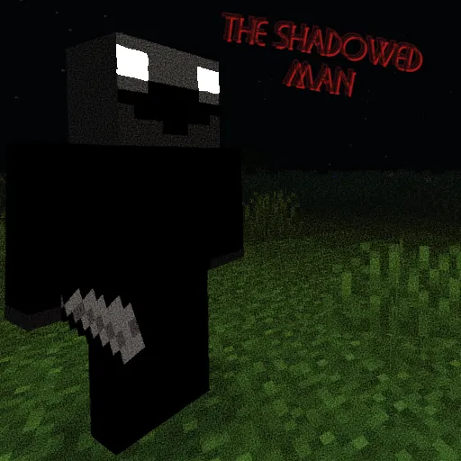 The Shadowed Man
