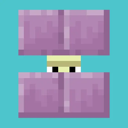 Camouflaging Shulkers