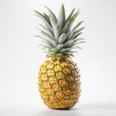 cazrt's pineapple thing
