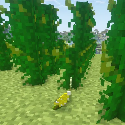 Corn! (Teosinte and Maize, and more!)