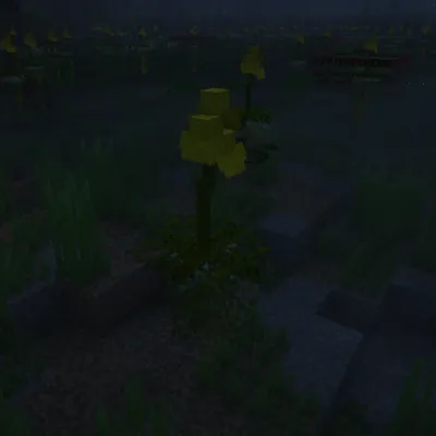 Humped Bladderwort (Utricularia Gibba)