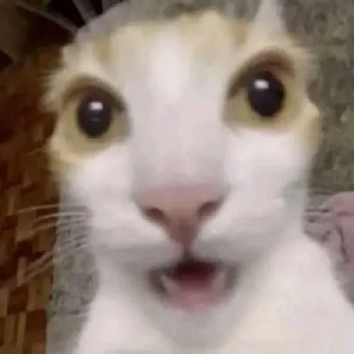 GetoXKny