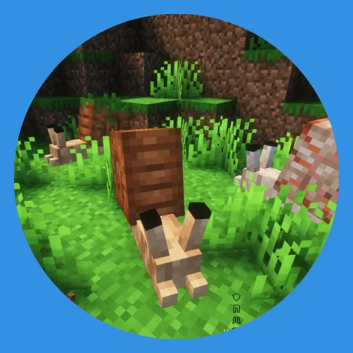 islands_generator