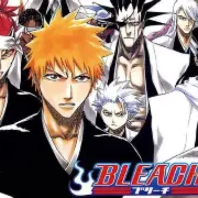 bleachcraft D