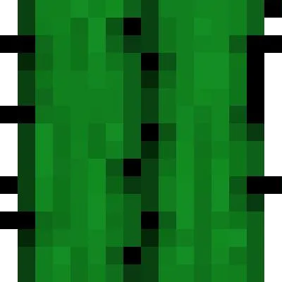 Cactus Stuff