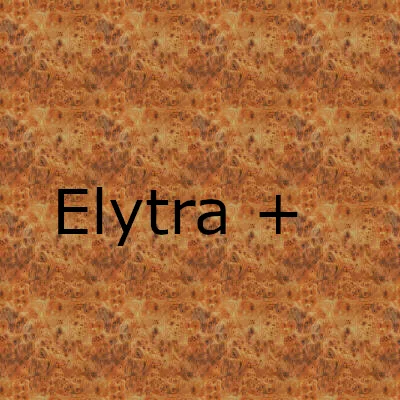 Craft the Elytra+