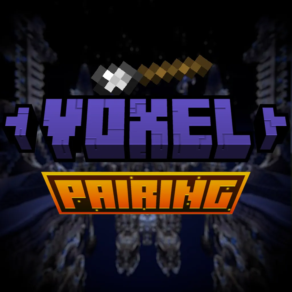 Voxel Pairing