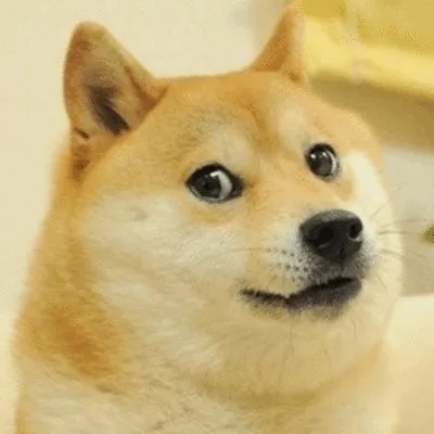 dogecoin!!!!!!!