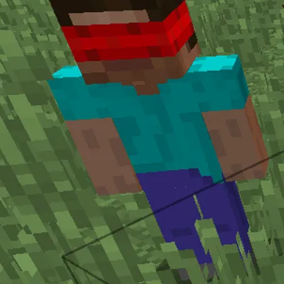 Steve World