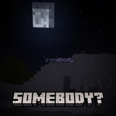 Somebody?