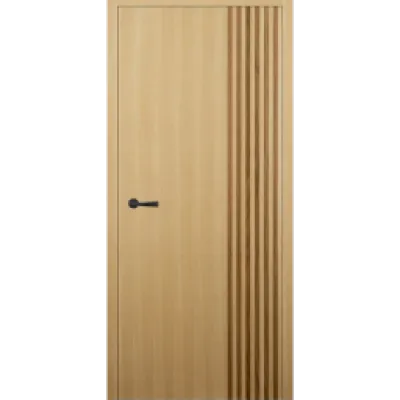 Realistic Door