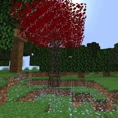 KatiesBlocksNTrees