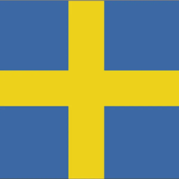 Swedish money